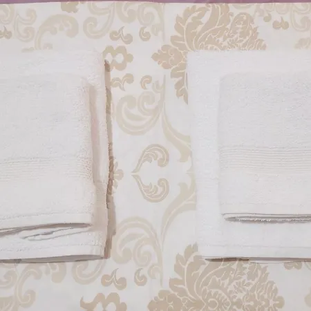 Green Studio Apartment Daire Tiran