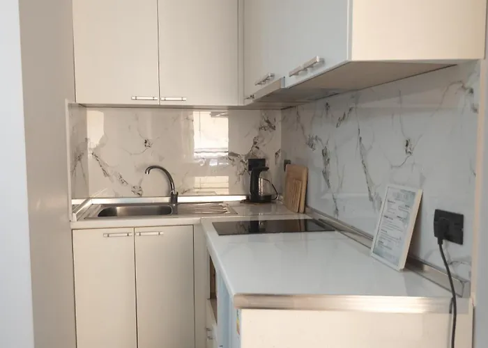 Green Studio Apartment